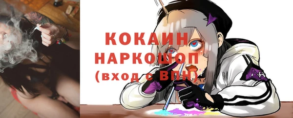 Альфа ПВП Новозыбков