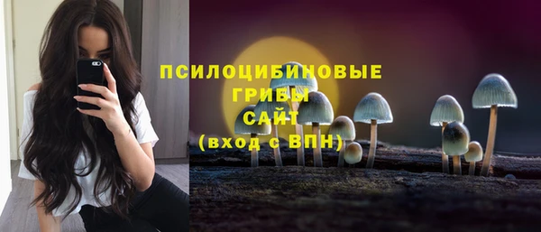 дурь Арсеньев