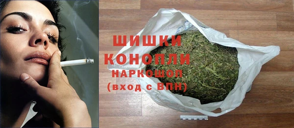шишки Аркадак