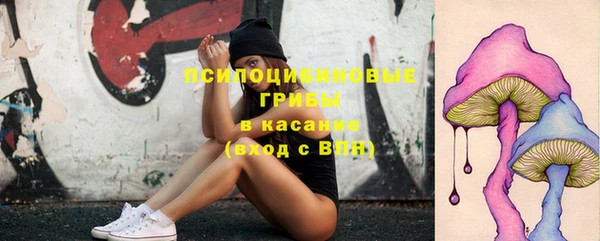 a pvp Новокубанск
