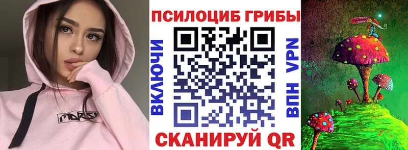 Псилоцибиновые грибы GOLDEN TEACHER Избербаш