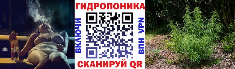 Шишки марихуана марихуана  купить закладку  Избербаш 